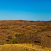 Spinifex Grasslands (viewing from Tylers Pass)