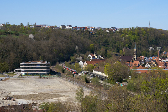 Löwenbuckel