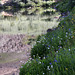 Cathedral Lake