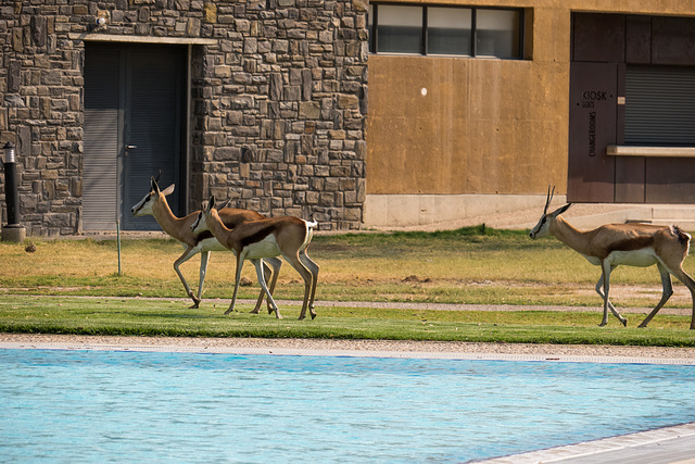 Namibia-0025