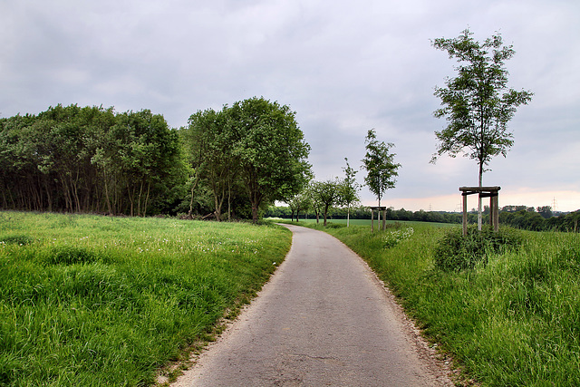 Holter Weg (Dortmund-Bövinghausen) / 20.05.2023