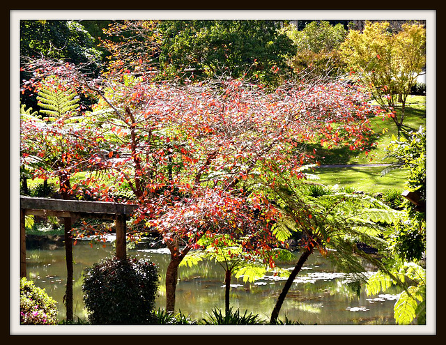 Autumn colours