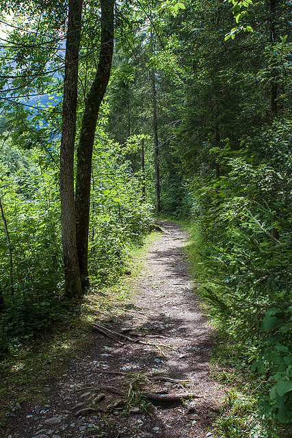 140804 Diablerets 4