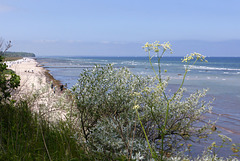 Strand am Schwazen Busch