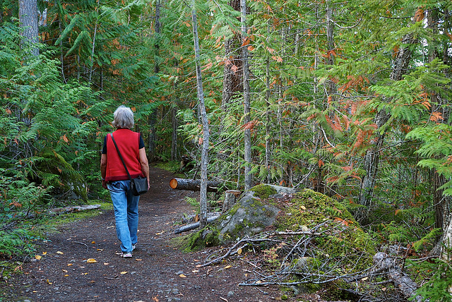 Wells-Gray Prov. Park.