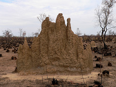 Magnetic termites