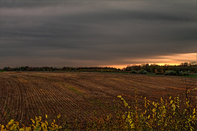 Crépuscule