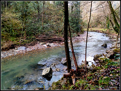 Por la orilla del río Barbadun