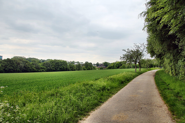 Holter Weg (Dortmund-Bövinghausen) / 20.05.2023