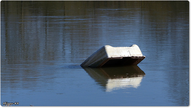 SAINTE GEMMES sur LOIRE