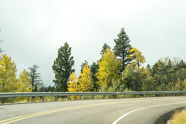 Driving to the crest of the Sandia mountains19