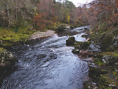 The Dunearn Burn walk - Earl of Moray's estate