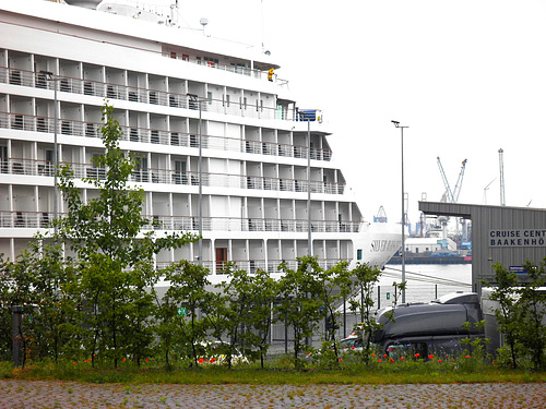 SILVER WHISPER