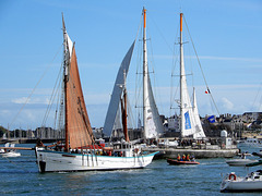 Fleur de Lampaul et Tara