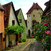 Sulzfeld