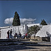 Casares