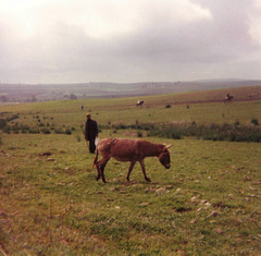 Campagne marocaine (1986)