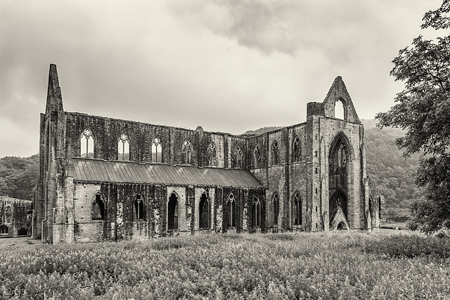 Tintern Abbey