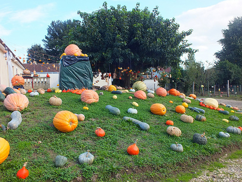 Bientôt halloween