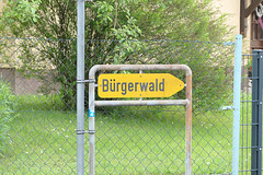 Im Bürgerwald, da kommt der Würger bald!