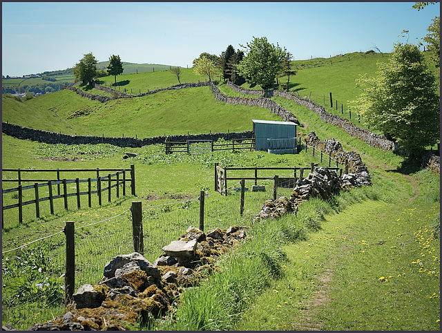 A  ''Happy fence Friday''  to everyone..... from  Dj.....