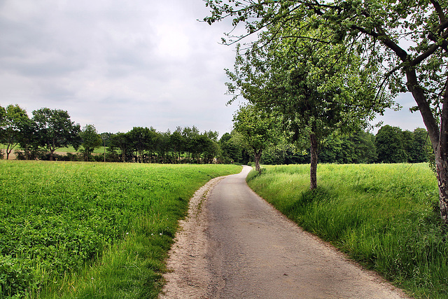 Holter Weg (Dortmund-Bövinghausen) / 20.05.2023