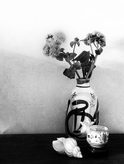 still life with sake bottle