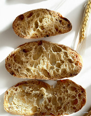 Sourdough Crumb
