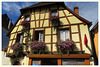 Eguisheim Haut Rhin