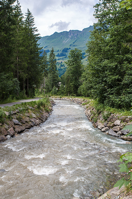 140804 Diablerets 8