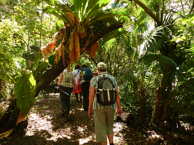 Hiking to the highest point of Little Tobago, Day 3