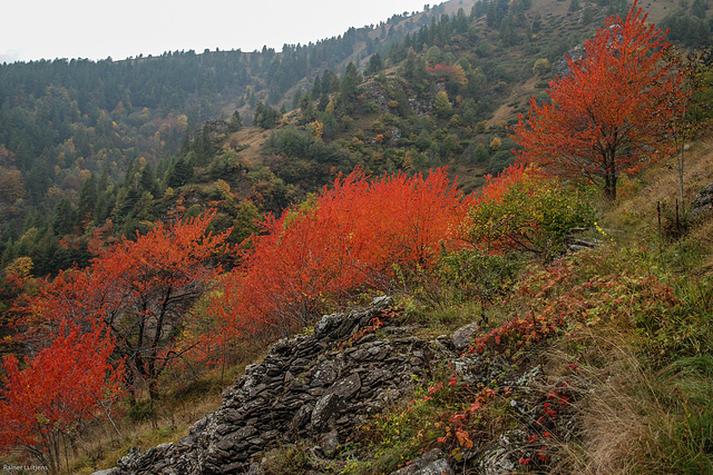 Herbstliches Valle Maira