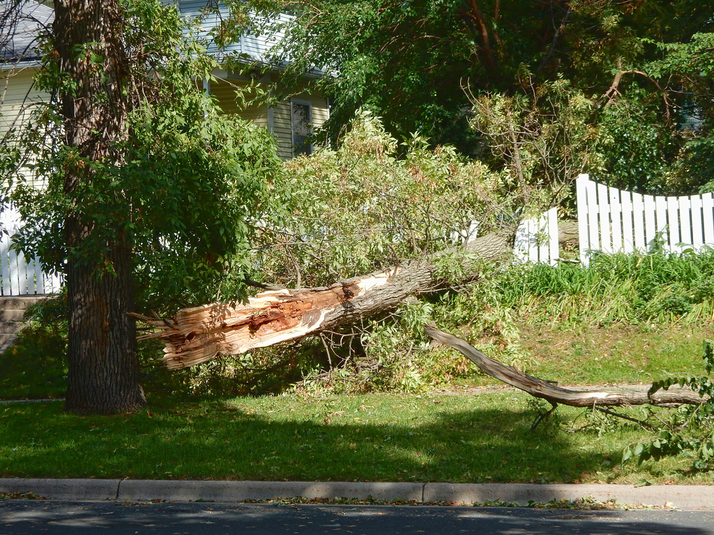 More storm damage
