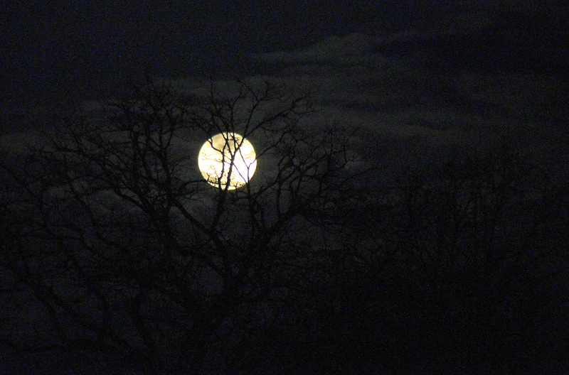 J'ai demandé à la lune ....