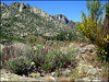 La Sierra de La Cabrera