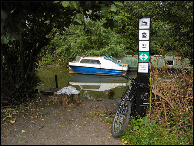 squatters on the backwater