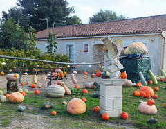 Bientôt halloween