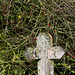 Lichen covered Footpath sign