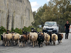 Crete - Traffic