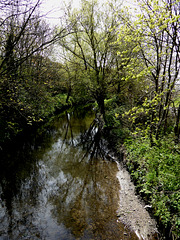 Ravensbourne