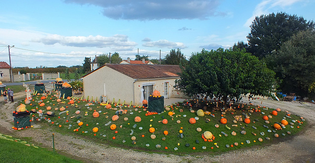 Bientôt halloween