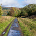 Walking the old trackway