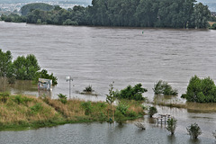 Viel Wasser im Rhein