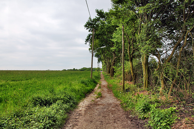 Holter Weg (Dortmund-Bövinghausen) / 20.05.2023