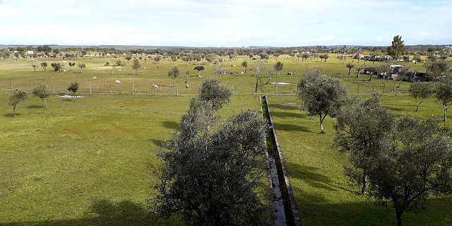 Rural scene.