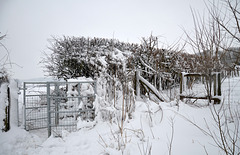 Snow Country Snow Country