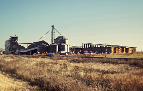 Silo complex