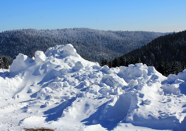 Im Schwarzwald