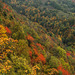 Herbstliches Valle Maira