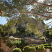 Eze Through The Trees